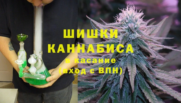 индика Бугульма